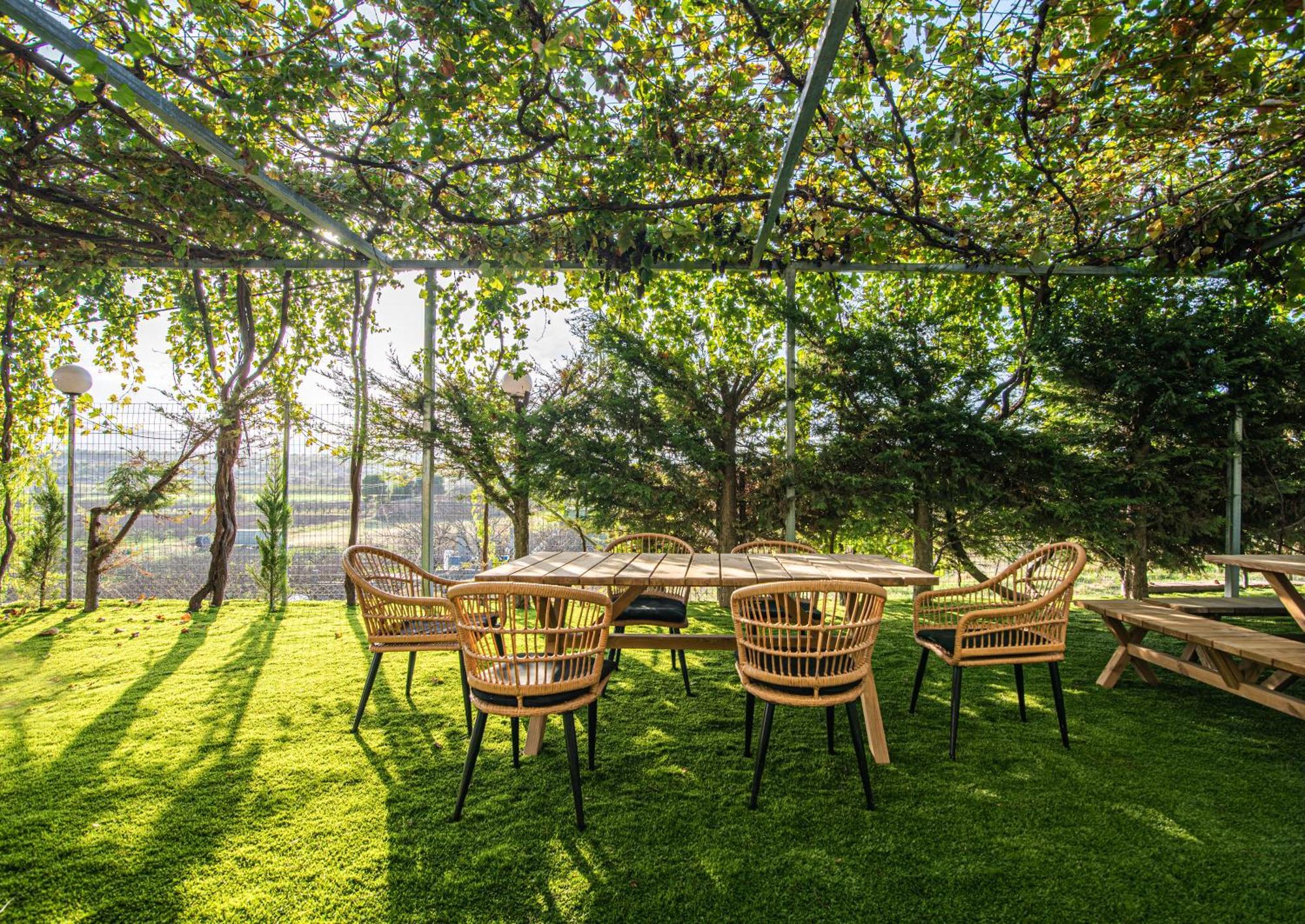 Iviskos Apartment Oinofyta Екстер'єр фото